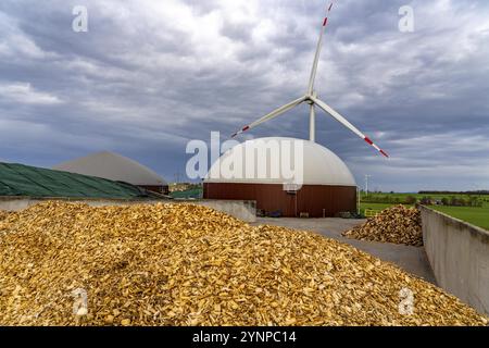 L'impianto di biogas produce gas da varie biomasse, qui lo stoccaggio della barbabietola da zucchero, l'elettricità viene prodotta in centrali elettriche e di calore combinate con il biogas Foto Stock