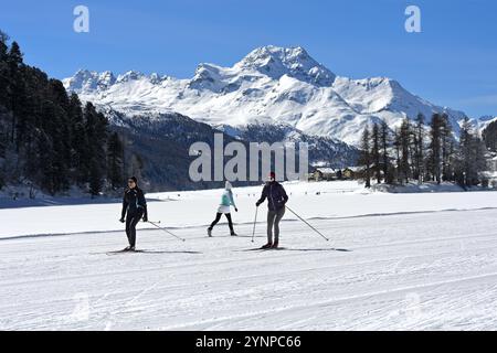 Sci di fondo sul sentiero tra Silvaplana e Sils, Sils, Engadina, Svizzera, Europa Foto Stock