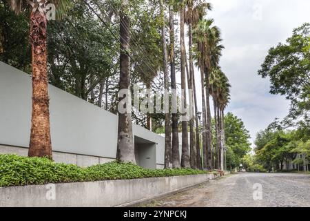 Gli angoli della città con sorprendente con vecchi alberi. Guadalajara, Jalisco. Messico Foto Stock