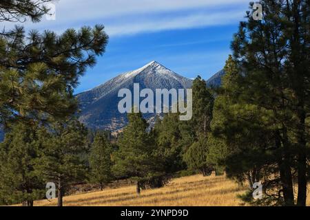 Vista della regione delle San Francisco Peaks della Coconino National Forest da Flagstaff, Arizona, Stati Uniti, mostra montagne innevate, cielo, e gli alberi Foto Stock