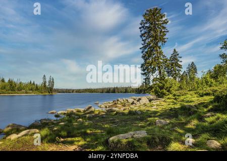 Una vista dell'Oderteich nelle montagne Harz sotto un cielo blu Foto Stock