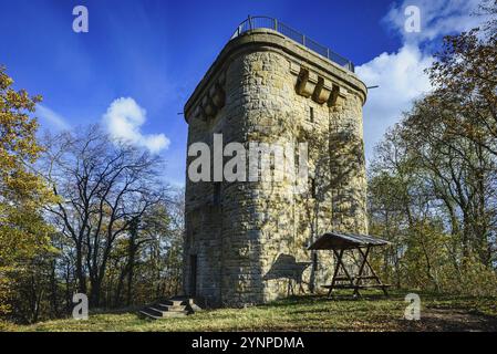 Una colorata giornata autunnale con la Torre Bismarck vicino a Ballenstedt in Sassonia-Anhalt, Germania, Europa Foto Stock