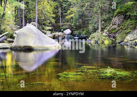 Grandi pietre nel letto del fiume su Engagement Island, Oker, Harz Mountains, Germania, Europa Foto Stock