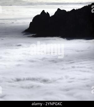 La strega addormentata in un letto di nuvole, sagoma delle torri Rotofen sopra una coperta chiusa di nebbia, Lattengebirge, Alpi Berchtesgaden, alta Baviera Foto Stock