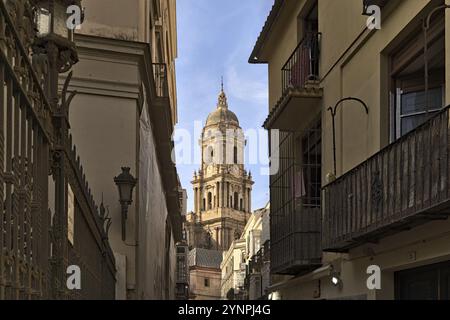 La torre della Santa Cattedrale Chiesa Basilica dell'Incarnazione, la cattedrale di Malaga raffigurata attraverso una strada stretta Foto Stock