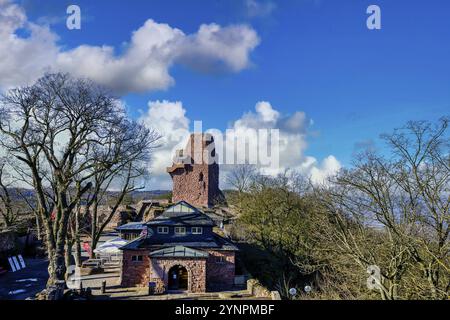 Il Castello Imperiale di Kyffhausen Reichsburg Kyffhausen nello stato tedesco della Turingia Foto Stock