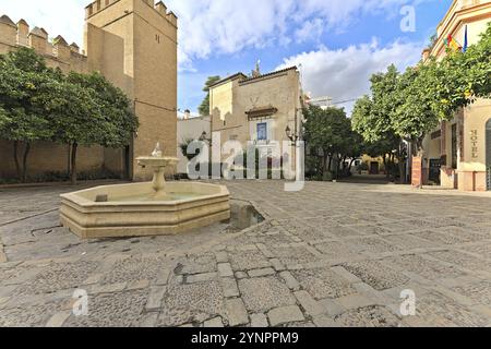 Fontana di Plaza de la Alianza in una giornata di sole senza pedoni Foto Stock