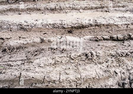 sporcizia su strada e tracce delle ruote dell'auto Foto Stock