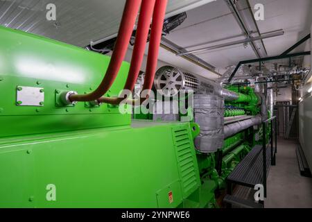 Impianto di biogas, motore a gas per la produzione di energia elettrica, generatore, nella centrale combinata di calore ed energia elettrica, il gas è prodotto da varie biomasse Foto Stock