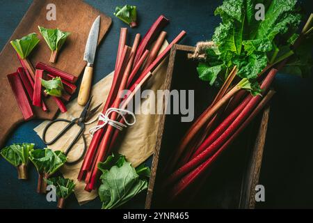 Bellissimi gambi di rabarbaro rosso appena raccolti legati con cordoncino e riposati in una scatola di legno con forbici e coltello Foto Stock