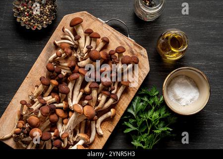 Funghi di pioppo su tavola di legno. Foto Stock