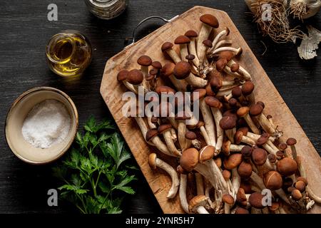 Funghi di pioppo su tavola di legno. Foto Stock