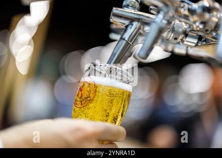 Norimberga, Germania. 26 novembre 2024. Un dipendente assaggia una birra allo stand della società finlandese Viking Malt alla fiera BrauBeviale dedicata alle bevande. Crediti: Daniel Karmann/dpa/Alamy Live News Foto Stock