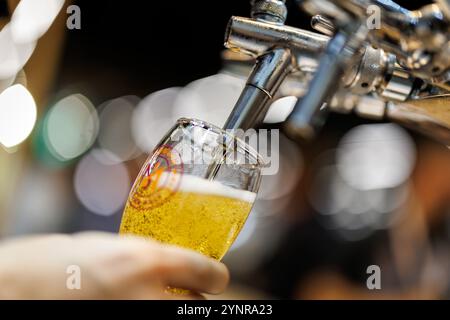 Norimberga, Germania. 26 novembre 2024. Un dipendente assaggia una birra allo stand della società finlandese Viking Malt alla fiera BrauBeviale dedicata alle bevande. Crediti: Daniel Karmann/dpa/Alamy Live News Foto Stock