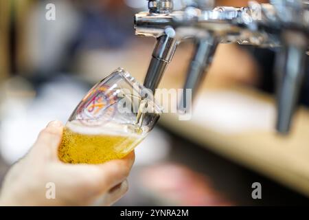 Norimberga, Germania. 26 novembre 2024. Un dipendente assaggia una birra allo stand della società finlandese Viking Malt alla fiera BrauBeviale dedicata alle bevande. Crediti: Daniel Karmann/dpa/Alamy Live News Foto Stock