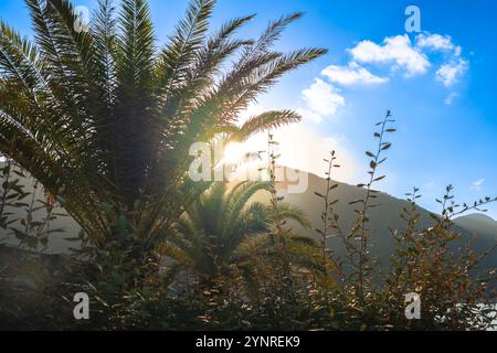La luce del sole dorata scorre attraverso palme e vegetazione, sullo sfondo di montagne e di un cielo blu vibrante, evocando serenità tropicale. Foto Stock