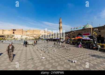 Cittadella di Erbil, Qalat, Hawler, tumulo storico (Tell), parco Shar, capitale del Kurdistan, Erbil, Iraq, Medio Oriente, Asia Foto Stock