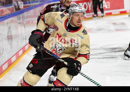 Eishockey DEL - 24/25 -20. Spieltag: Kölner Haie vs Nürnberg Ice Tigers AM 26.11.2024 in der LANXESS arena a Köln foto: Osnapix Foto Stock