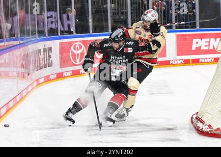 Eishockey DEL - 24/25 -20. Spieltag: Kölner Haie vs Nürnberg Ice Tigers AM 26.11.2024 in der LANXESS arena a Köln foto: Osnapix Foto Stock