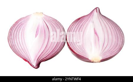 La vista dall'alto di due grandi lampadine a cipolla rosse o viola a metà è isolata su sfondo bianco con percorso di ritaglio. Foto Stock