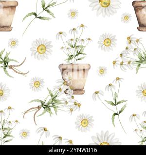 fiori a margherita di acquerello nel motivo senza cuciture della pentola, i fiori floreali dei prati ripetono la carta Foto Stock