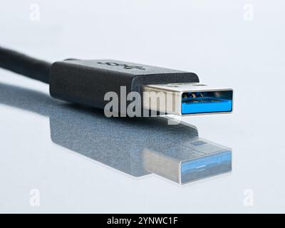 Scatto macro con connettore USB 3 di tipo A isolato su sfondo bianco con riflesso. Foto Stock