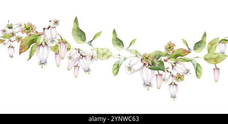 Fiore di campana rosa e mirtillo con foglie verdi sui rami, disegnato a mano in acquerello, illustrazione botanica di fiori selvatici. Isolamento senza soluzione di continuità Foto Stock