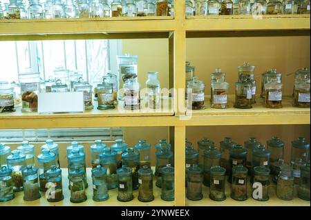 matracci e provette con animali in formaldeide sugli scaffali di un laboratorio biologico segreto Foto Stock