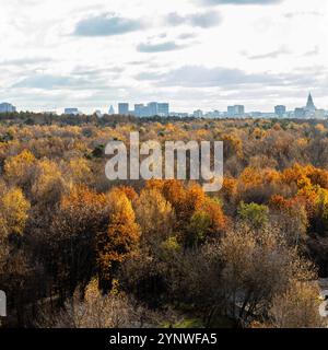 cielo nuvoloso grigio sopra il colorato parco cittadino il giorno d'autunno Foto Stock