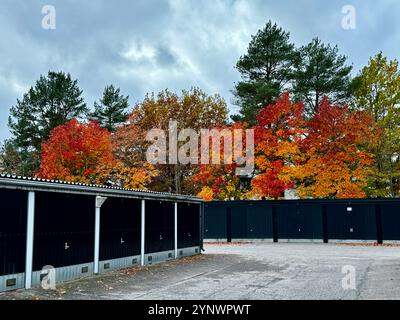 I colori autunnali dei garage finlandesi, il rosso e gli aranci vivaci illuminano l'area di parcheggio, mescolando natura e vita urbana in Finlandia Foto Stock