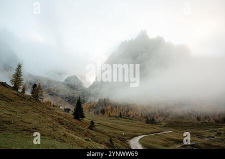 Nebbia mattutina che riempie una valle alpina nelle Dolomiti vicino a Canazei Foto Stock
