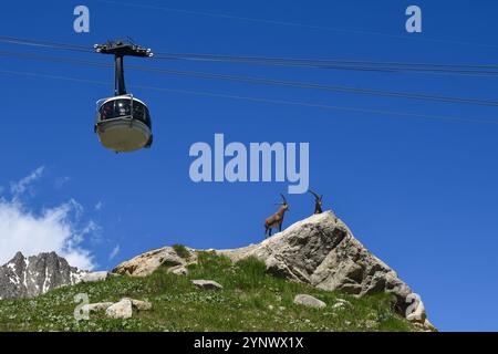 Una funivia dello Skyway Monte bianco passando sopra un paio di sculture raffiguranti gli stambecchi, in estate, Courmayeur, Valle d'Aosta, Italia Foto Stock