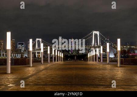 Ponte arcobaleno che illumina lo skyline di tokyo di notte da odaiba Foto Stock