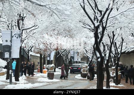 Seoul, Corea del Sud. 27 novembre 2024. Le persone godono di paesaggi innevati a Seoul, Corea del Sud, 27 novembre 2024. La capitale della Corea del Sud ha registrato un record di nevicate di novembre, con più di 16 cm di neve coperta Seoul, il servizio meteorologico ha detto mercoledì. Crediti: Yao Qilin/Xinhua/Alamy Live News Foto Stock