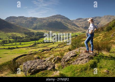 Regno Unito, Inghilterra, Cumbria, Langdale, Dungeon Ghyll, turista sulla roccia che si affaccia sulle valli di Mickleden e Oxendale Foto Stock