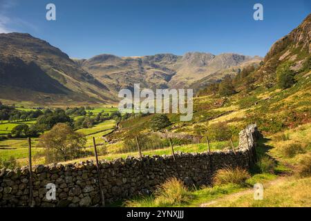 Regno Unito, Inghilterra, Cumbria, Langdale, Mickleden e Oxendale, dal percorso fino alla Dungeon Ghyll Force Foto Stock