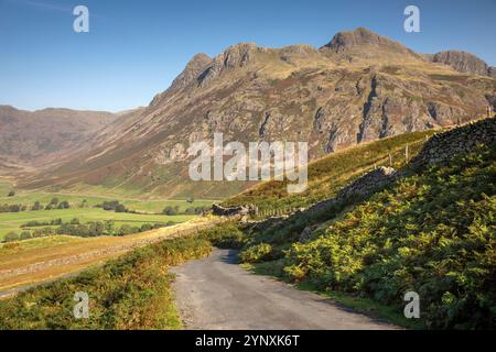 Regno Unito, Inghilterra, Cumbria, Langdale Pikes, dalla strada sotto Side Pike Foto Stock