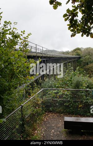 Meldon Viaduct, uno dei due viadotti in ferro battuto sopravvissuti nel Regno Unito Foto Stock