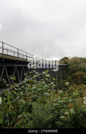 Meldon Viaduct, uno dei due viadotti in ferro battuto sopravvissuti nel Regno Unito Foto Stock