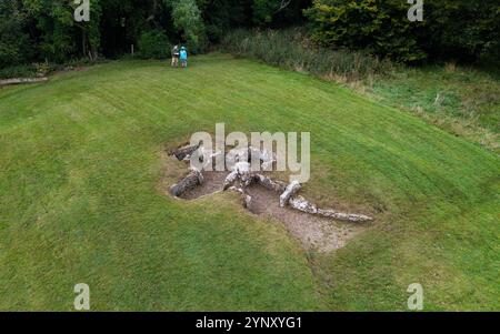 Nympsfield Long Barrow sito di sepoltura preistorica neolitica a Coaley Peak, Gloucestershire, Inghilterra. Cotswold Severn ha circa 4800 anni Foto Stock