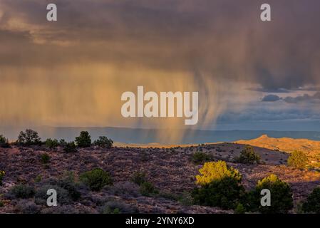 Tempesta autunnale in avvicinamento alla Chino Valley al tramonto, Arizona, Stati Uniti Foto Stock
