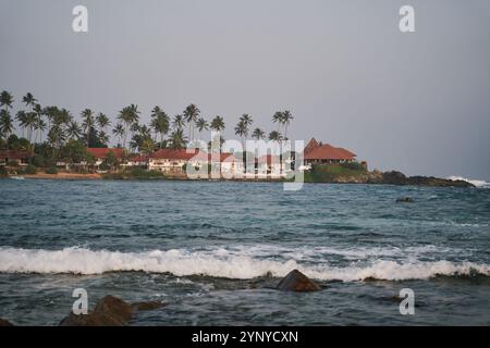 Costa dell'oceano con ville e palme nello Sri Lanka Foto Stock