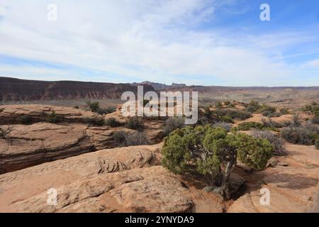 Arches National Park nello Utah ha una delle più grandi collezioni di archi naturali del mondo. Foto Stock