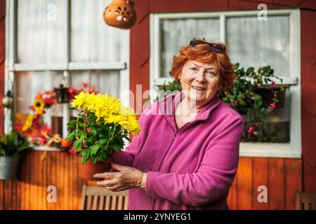 Una donna anziana felice sorridente sta tenendo in vaso il crisantemo giallo in vaso di fiori. Giardinaggio per creare decorazioni floreali autunnali Foto Stock