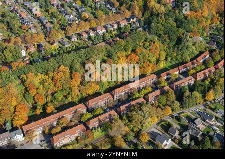 Vivente, isolato di appartamenti, vecchio, Geesthang, foresta, autunno, foresta autunnale, estate indiana, Bergedorf, Amburgo Foto Stock