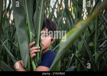 primo piano della testa della ragazza con capelli scuri metà nascosti dietro foglie verdi Foto Stock