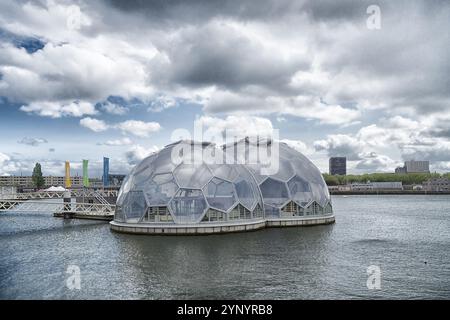 ROTTERDAM, PAESI BASSI, 14 MAGGIO 2016: Case galleggianti moderne sostenibili e sperimentali nel porto di rotterdam Foto Stock