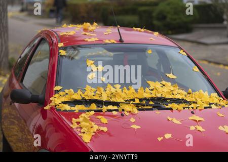 Auto rossa ricoperta di foglie autunnali cadute Foto Stock