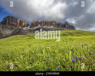 Paesaggio del monte Sass Pordoi Foto Stock