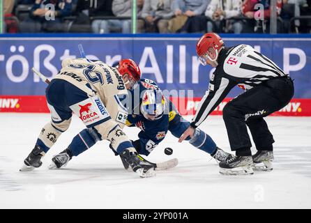 Monaco, Germania. 26 novembre 2024. Linesperson Lukas Pfriem fuehrt ein bully/Faceoff aus zwischen Tylor Spink (Schwenninger Wild Wings, n. 90) e Patrick Hager (EHC Red Bull Muenchen, n. 52). GER, EHC Red Bull Muenchen vs. Schwenninger Wild Wings, Eishockey, DEL, 20. Spieltag, Saison 2024/2025, 26.11.2024. Foto: Eibner-Pressefoto/Heike Feiner credito: dpa/Alamy Live News Foto Stock